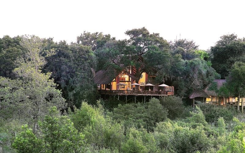 Londolozi Game Reserve